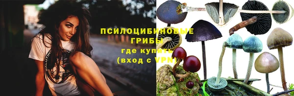 хмурый Алексеевка