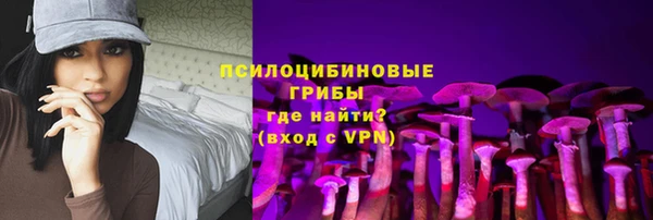 амф Алексин