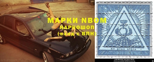 молекула духа Лабытнанги