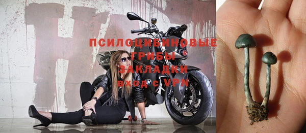 амф Алексин