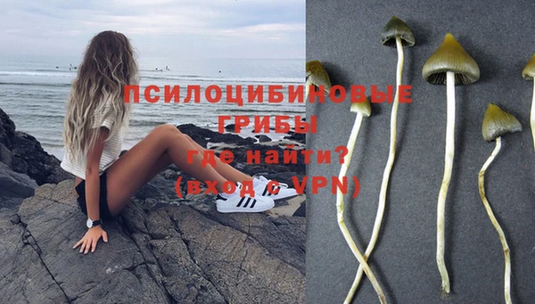 амф Алексин