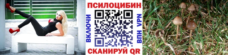 Галлюциногенные грибы Cubensis  где купить наркотик  ссылка на мегу как войти  Мамоново 