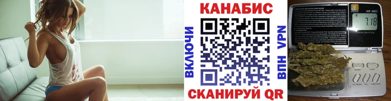 Конопля сатива дарнет шоп Мамоново